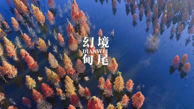 纵一陶瓷是那个厂家的？